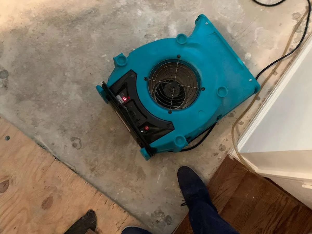 Air mover drying subfloor during Leak Detection & Repair in Federal Heights